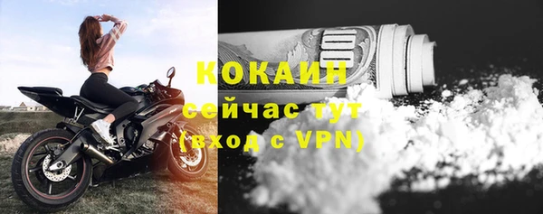 мдпв Карпинск