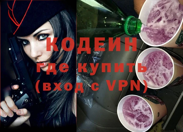 мдпв Карпинск