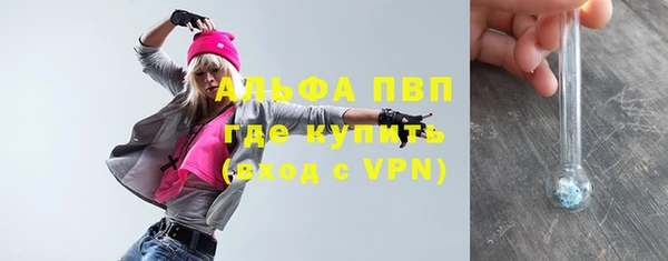 мдпв Карпинск