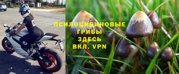 мдпв Карпинск