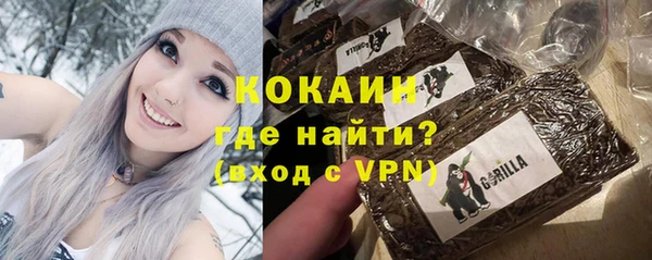 мдпв Карпинск