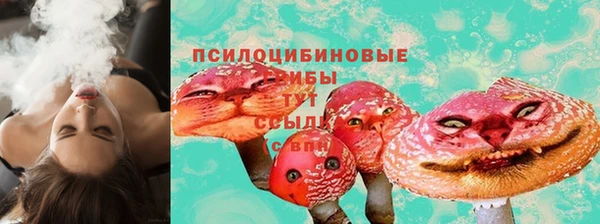 мдпв Карпинск