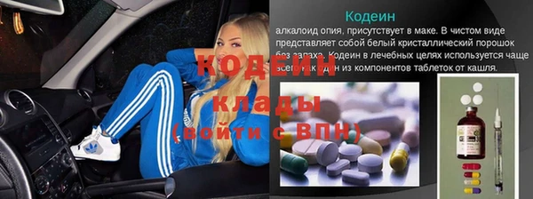 мдпв Карпинск