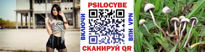 Галлюциногенные грибы MAGIC MUSHROOMS  Купить закладки  Белореченск 